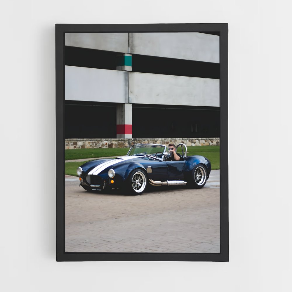 Poster AC Cobra Racing (vue 2)